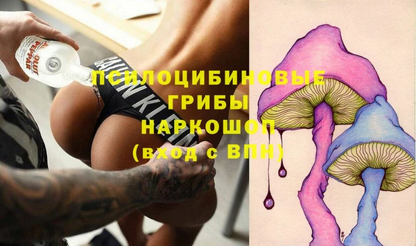 ГАЛЛЮЦИНОГЕННЫЕ ГРИБЫ Алексеевка