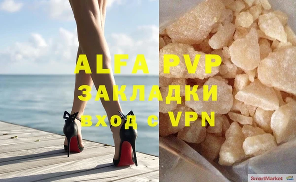 стафф Арсеньев