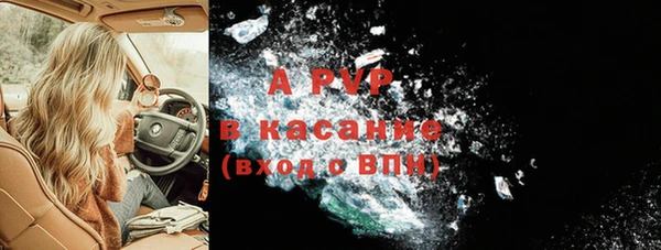 стафф Арсеньев