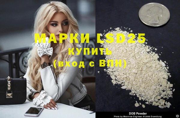 стафф Арсеньев