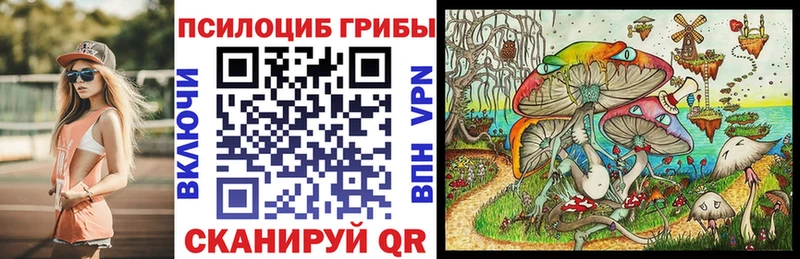 гидра tor  Куса  Псилоцибиновые грибы MAGIC MUSHROOMS 