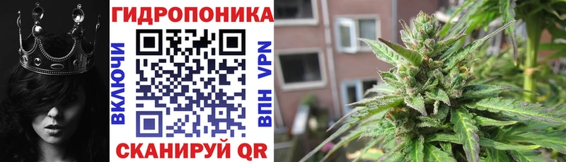 Конопля гибрид  ОМГ ОМГ рабочий сайт  Куса 